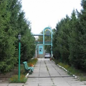Детский лагерь "Барчын" на Иссык-Куле